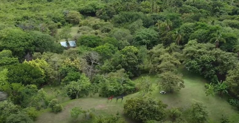 Finca en Playa San Carlos: con 2 Casas, 4.3 Hectáreas (10.585 Acres) de Terreno