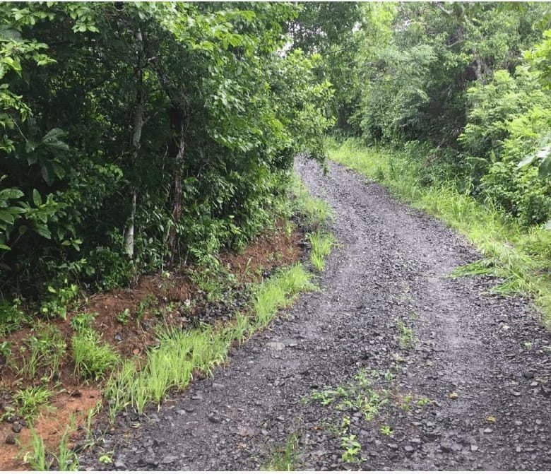 Terreno en Chorrera: Las Mendozas de La Chorrera, Para Desarrollo