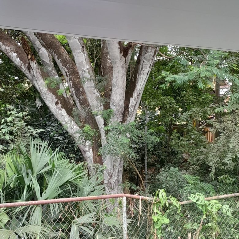 Casa en Clayton – Muy cercana a Ciudad del Saber: Colinda con área forestal