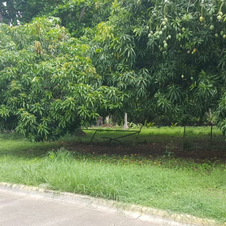 Terreno Para Desarrollo: Terreno R2d3 en Amador de 2047 m, Vista Al Mar