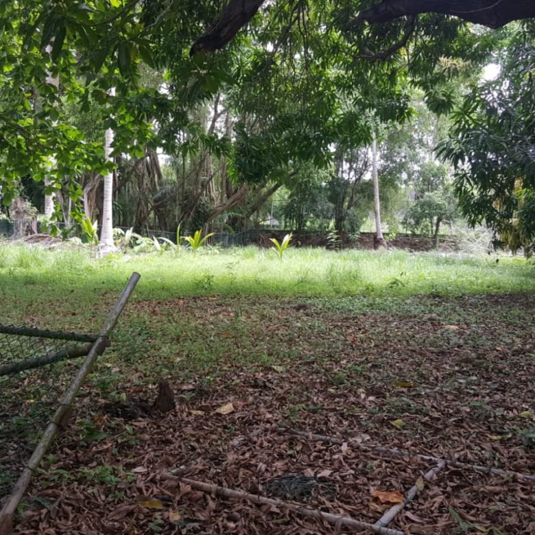 Terreno Para Desarrollo: Terreno R2d3 en Amador de 2047 m, Vista Al Mar