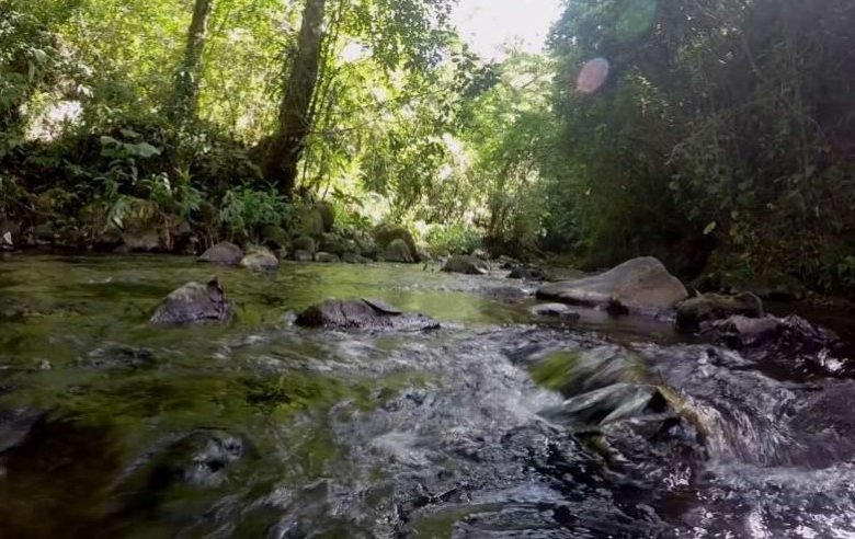 Volcán, Tierras Altas de Chiriqui: Terreno de 20 Hectareas, Agua Viva (Quebrada)