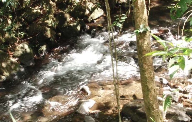 Volcán, Tierras Altas de Chiriqui: Terreno de 20 Hectareas, Agua Viva (Quebrada)