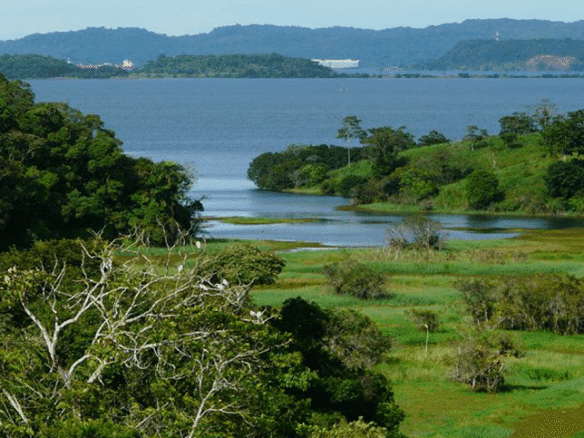Cantera – Se Vende Financiada: Terreno con Cantera, Lago Gatun, Canal