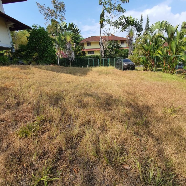 Albrook: Terreno Para Casa, Superficie Plana / Semi – Plana, 423.11 m²
