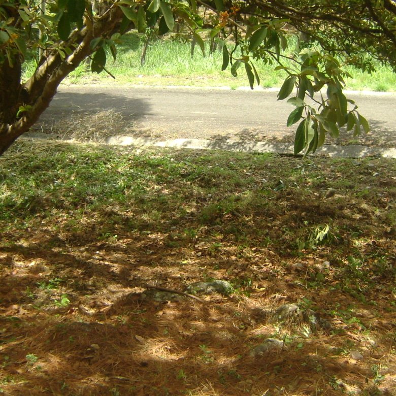 Altos del Maria – Montaña: Comunidad Cerrada, Cercano a Playas, Lote 2240 m