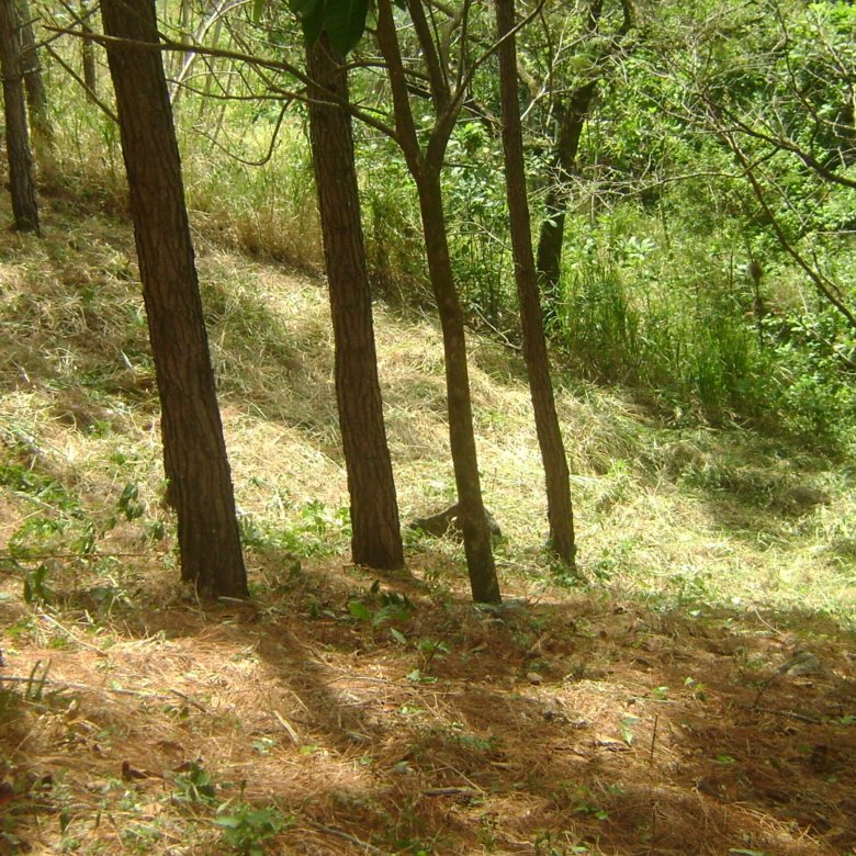 Altos del Maria – Montaña: Comunidad Cerrada, Cercano a Playas, Lote 2240 m