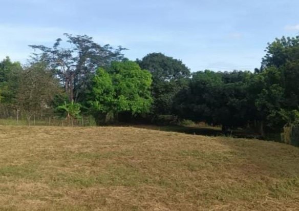 Chitre, Herrera: Lote en Cantarrana, de 1000m2