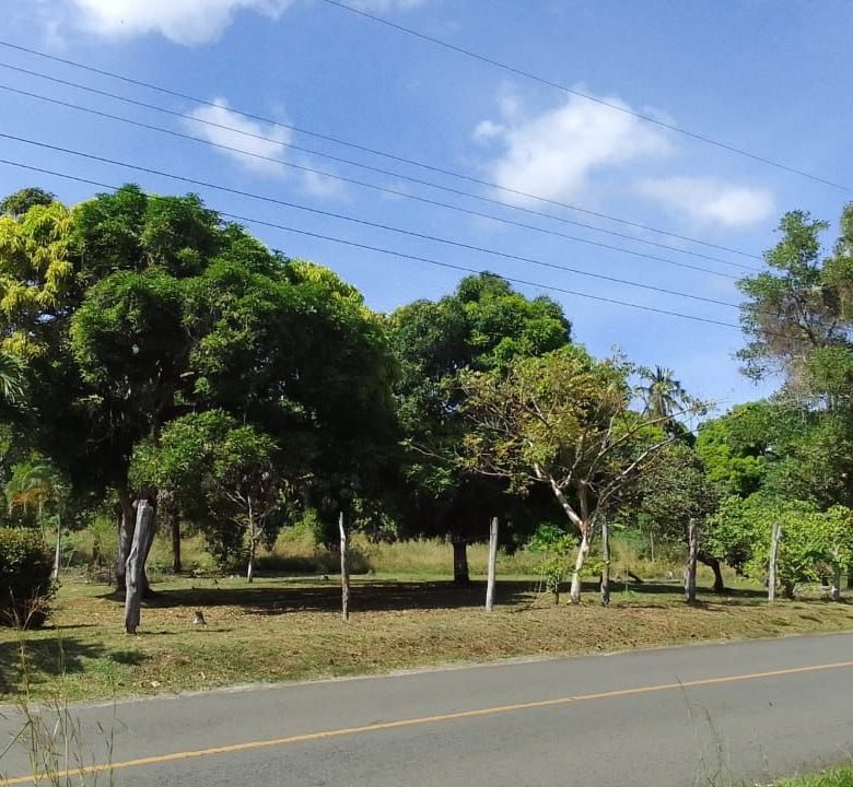 El Chirú, Antón – Sector Cercano a Playas: 3 hectáreas con Casa en el Poblado