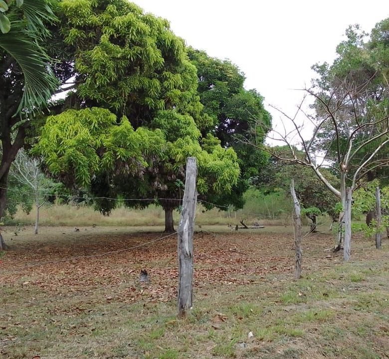 El Chirú, Antón – Sector Cercano a Playas: 3 hectáreas con Casa en el Poblado