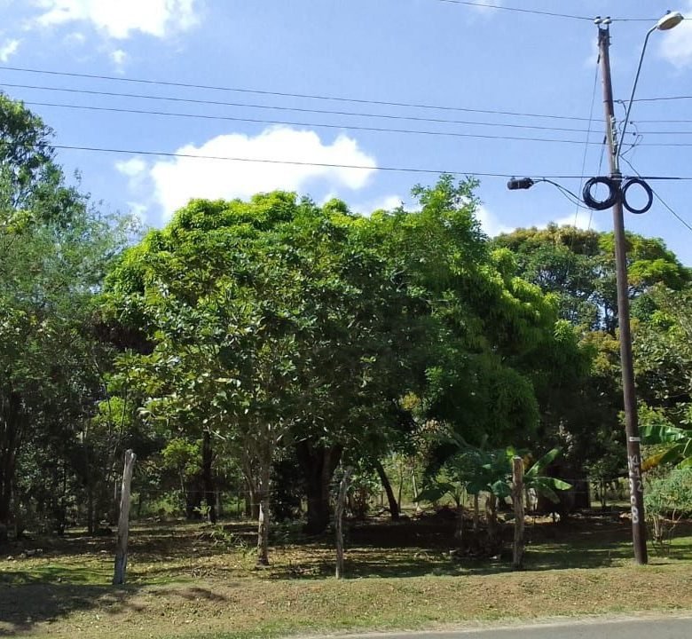 El Chirú, Antón – Sector Cercano a Playas: 3 hectáreas con Casa en el Poblado