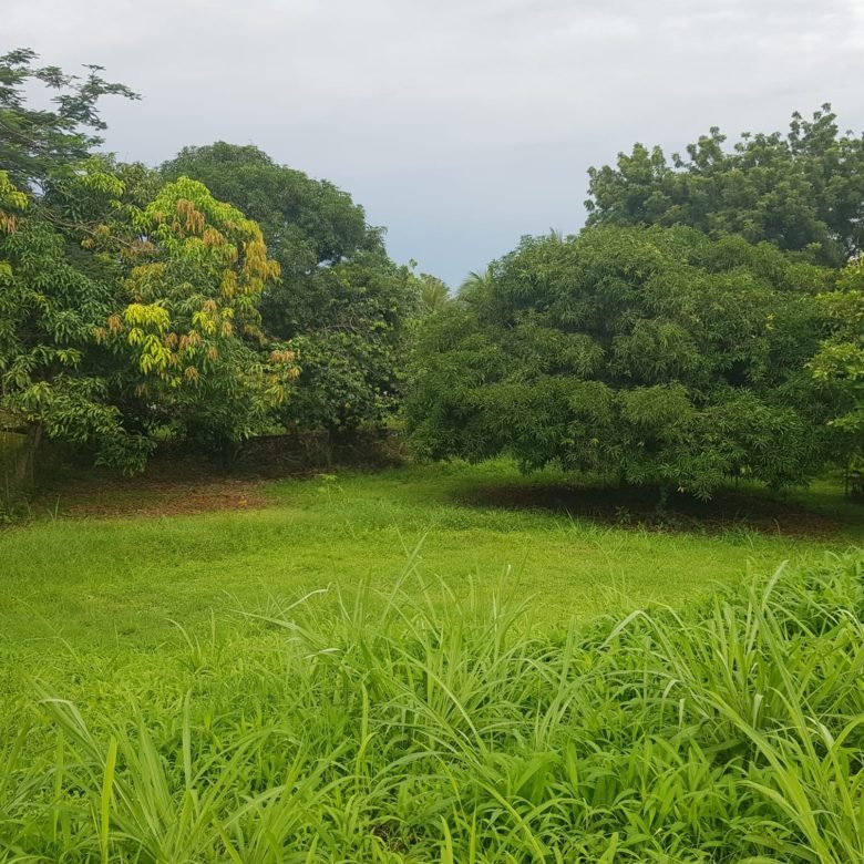 Chame, Centro del Poblado: Lote en El Celaje, 1000m2