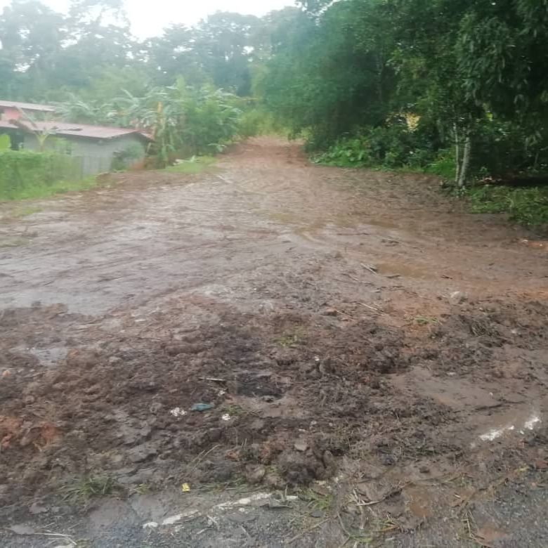 Chilibre – Cerca Carretera Transístmica: Terreno de 1949 m², Superficie Plana