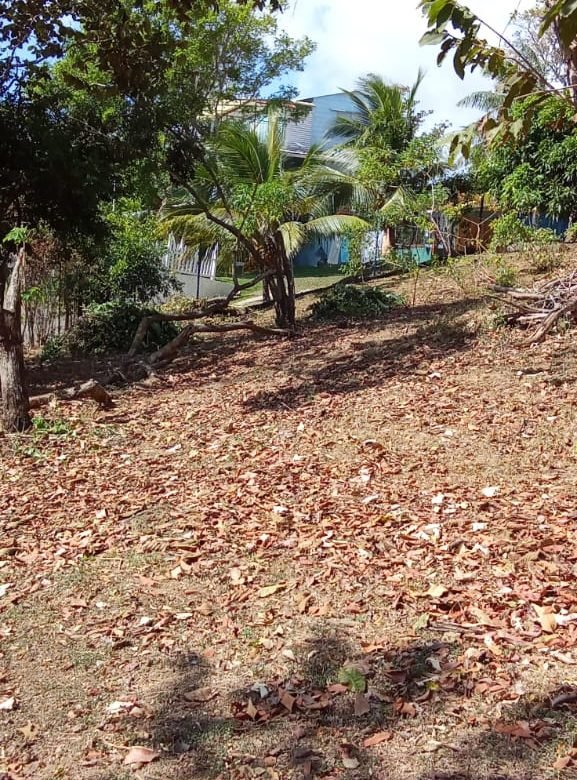 Terreno / Lote: 615 m² de Terreno en Carretera a Altos del María, Cercano a Casas