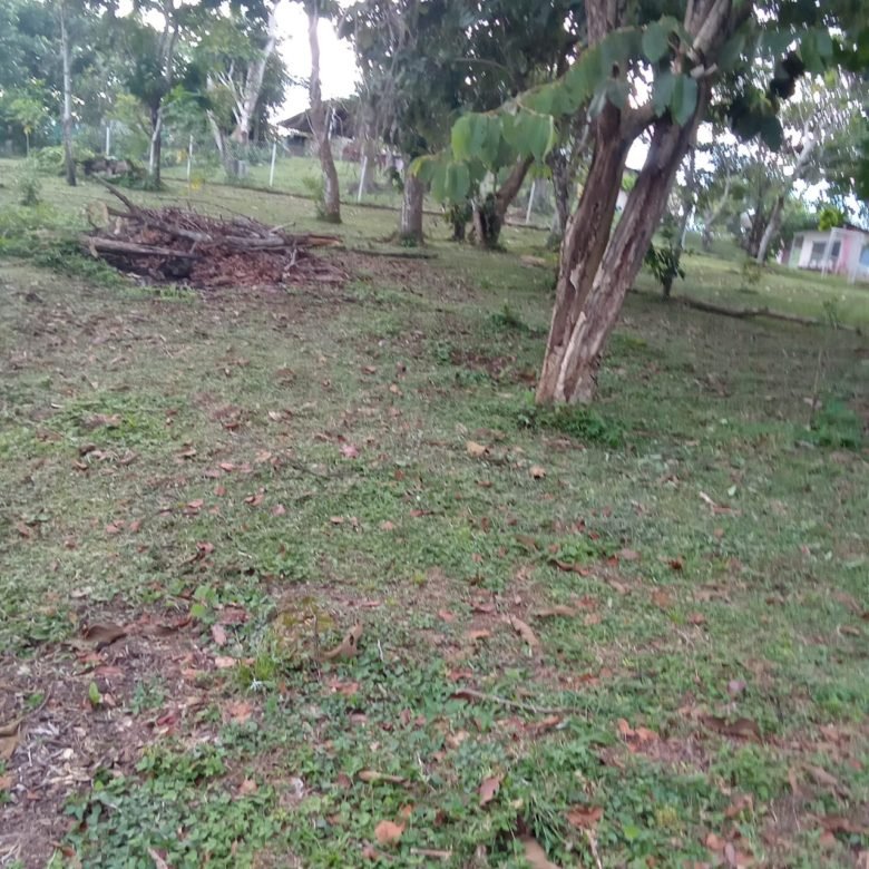 Terreno / Lote: 615 m² de Terreno en Carretera a Altos del María, Cercano a Casas