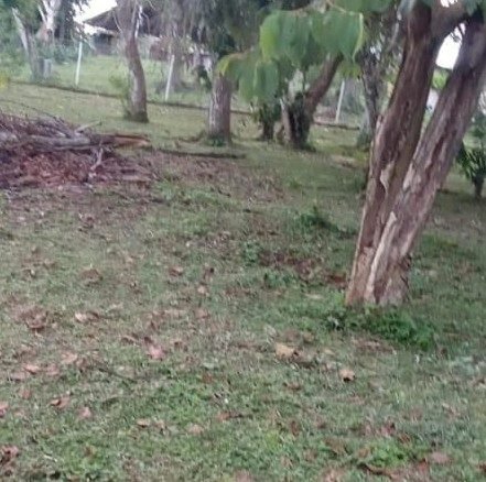 Terreno / Lote: 615 m² de Terreno en Carretera a Altos del María, Cercano a Casas