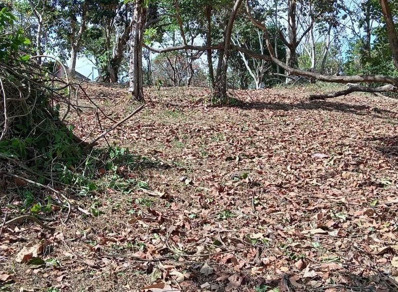 Terreno / Lote: 615 m² de Terreno en Carretera a Altos del María, Cercano a Casas