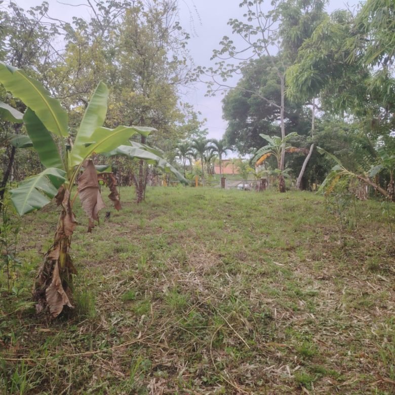 Terreno de Playa La Ermita: a 3 minutos de la playa