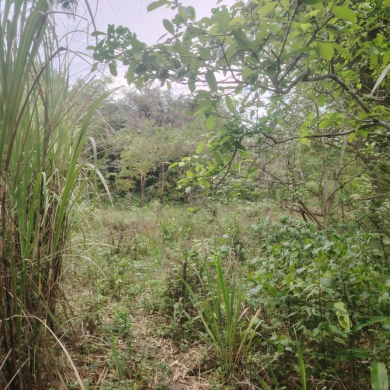 Terreno de Playa La Ermita: a 3 minutos de la playa