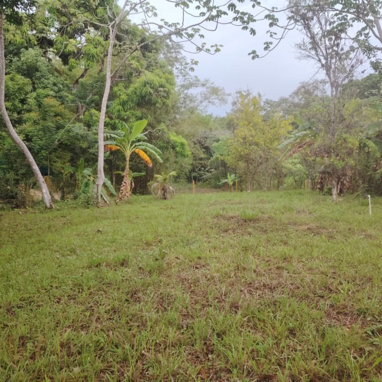 Terreno de Playa La Ermita: a 3 minutos de la playa