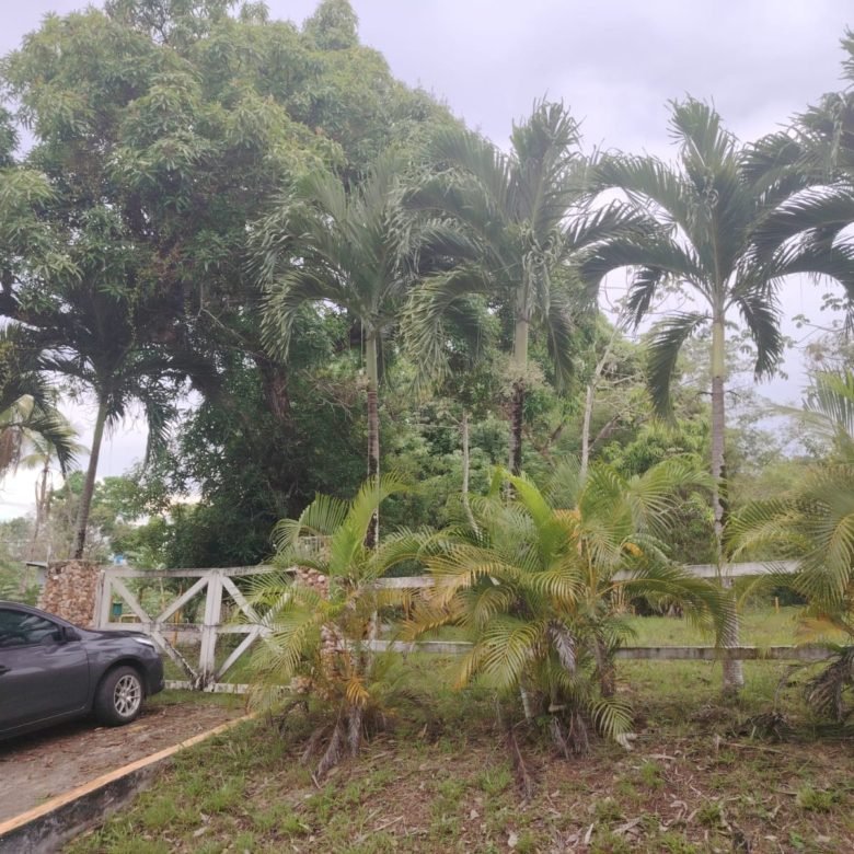 Terreno de Playa La Ermita: a 3 minutos de la playa