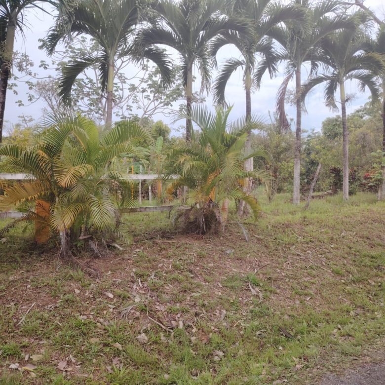 Terreno de Playa La Ermita: a 3 minutos de la playa