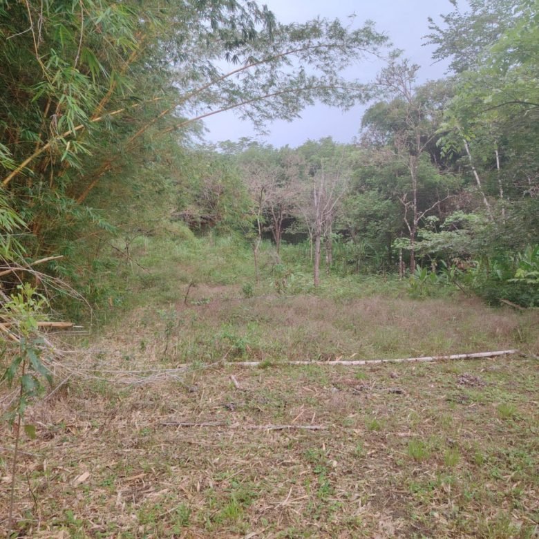 Terreno de Playa La Ermita: a 3 minutos de la playa
