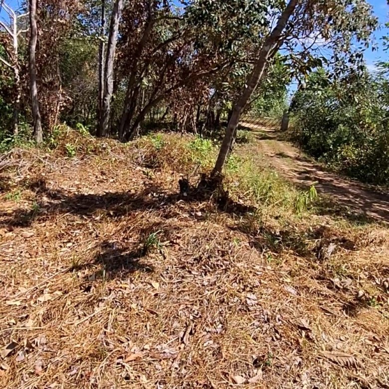 Terreno / Lote Sector de Playa – Chiriquí: San Lorenzo, Boca Chica
