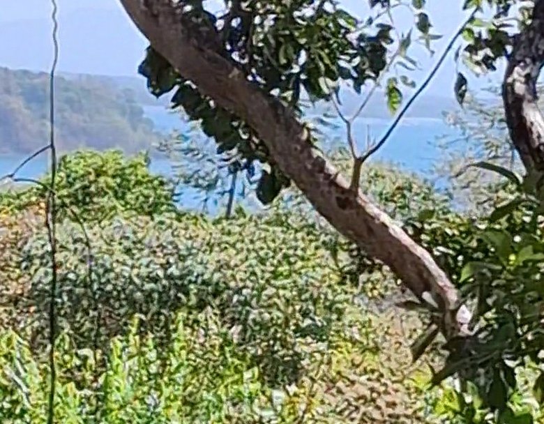Terreno / Lote Sector de Playa – Chiriquí: San Lorenzo, Boca Chica
