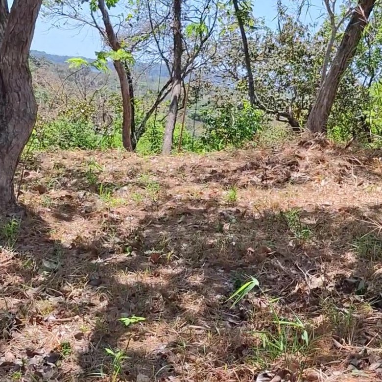 Terreno / Lote Sector de Playa – Chiriquí: San Lorenzo, Boca Chica