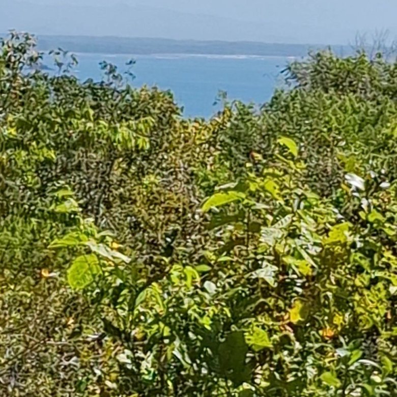 Terreno / Lote Sector de Playa – Chiriquí: San Lorenzo, Boca Chica