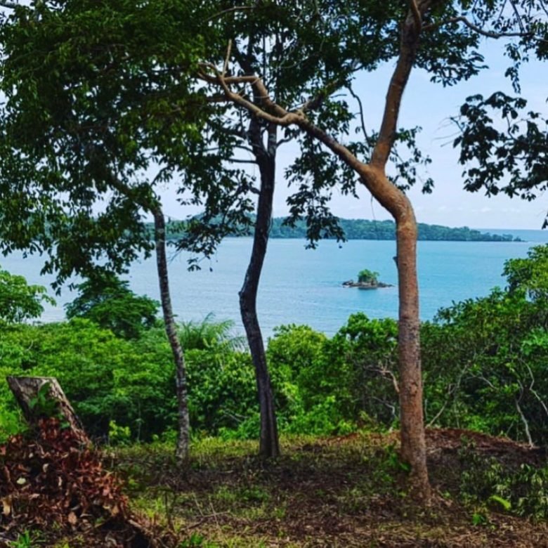 Terreno / Lote 5.5 hectáreas “Frente” a Playa – Chiriquí: San Lorenzo, Boca Chica