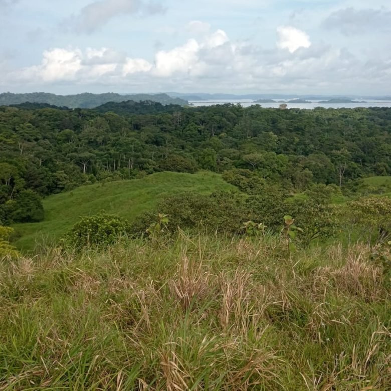 Terreno ondulado, semi-plano: Colón, frente a calle, cercano a Lago Gatun