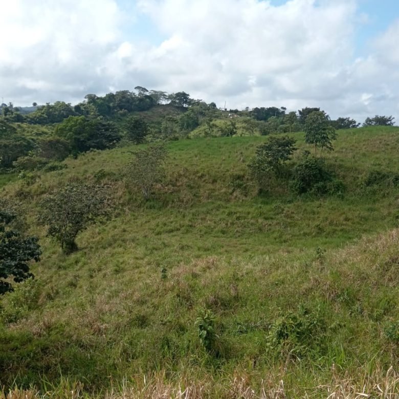 Terreno ondulado, semi-plano: Colón, frente a calle, cercano a Lago Gatun