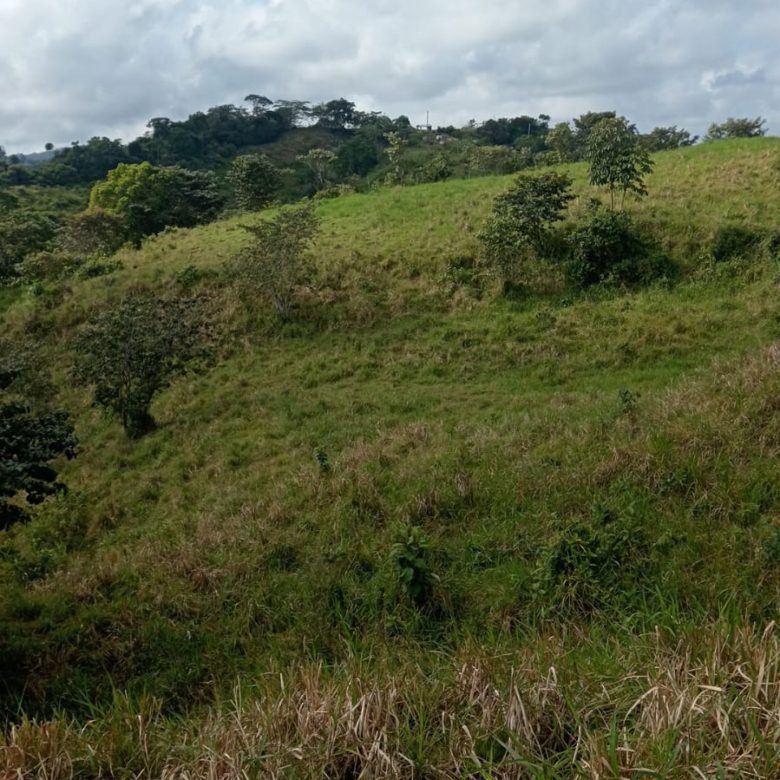 Terreno ondulado, semi-plano: Colón, frente a calle, cercano a Lago Gatun