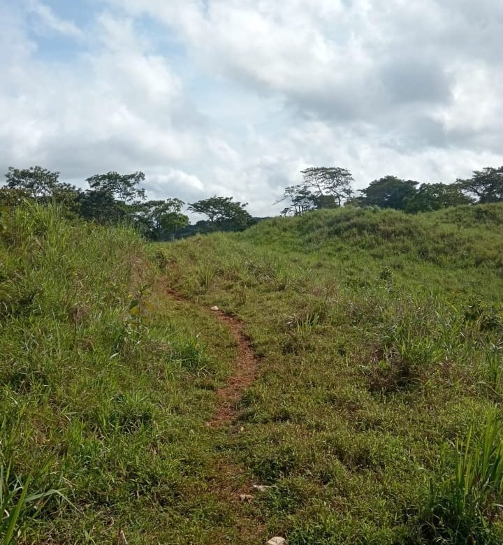 Terreno ondulado, semi-plano: Colón, frente a calle, cercano a Lago Gatun