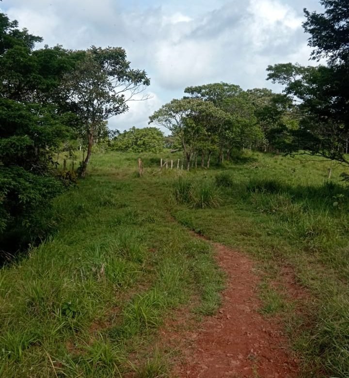Terreno ondulado, semi-plano: Colón, frente a calle, cercano a Lago Gatun