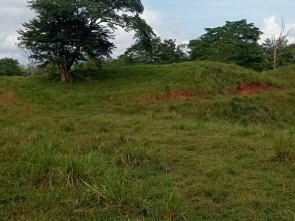 Terreno ondulado, semi-plano: Colón, frente a calle, cercano a Lago Gatun