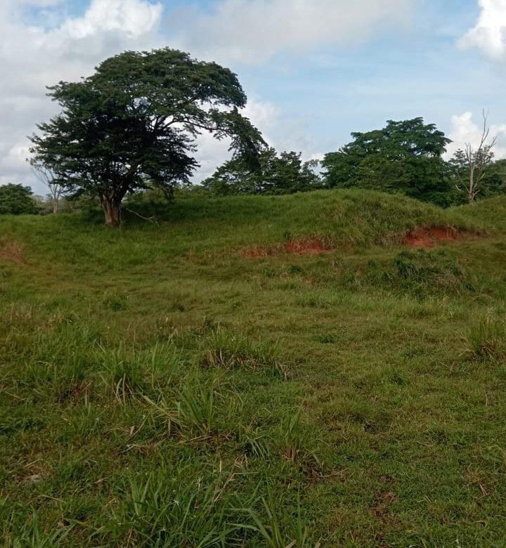 Terreno ondulado, semi-plano: Colón, frente a calle, cercano a Lago Gatun