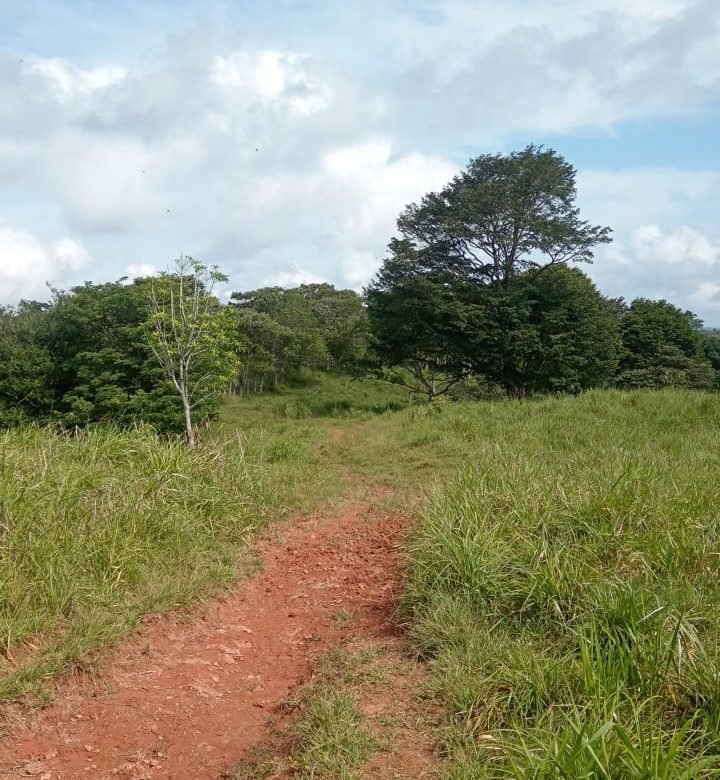 Terreno ondulado, semi-plano: Colón, frente a calle, cercano a Lago Gatun
