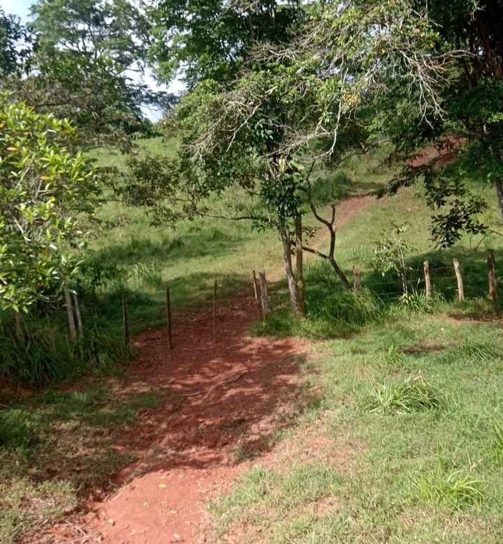 Terreno ondulado, semi-plano: Colón, frente a calle, cercano a Lago Gatun