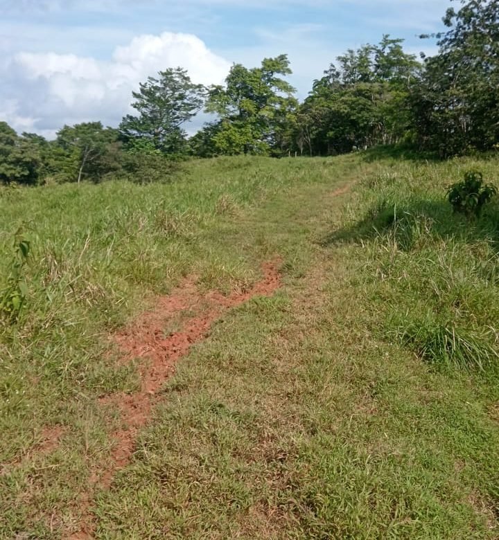 Terreno ondulado, semi-plano: Colón, frente a calle, cercano a Lago Gatun