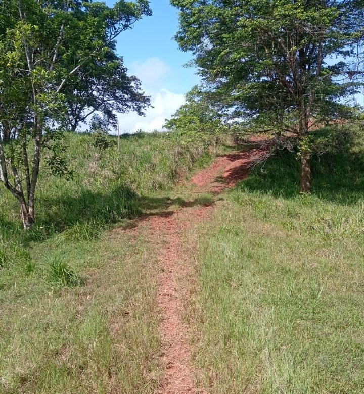 Terreno ondulado, semi-plano: Colón, frente a calle, cercano a Lago Gatun