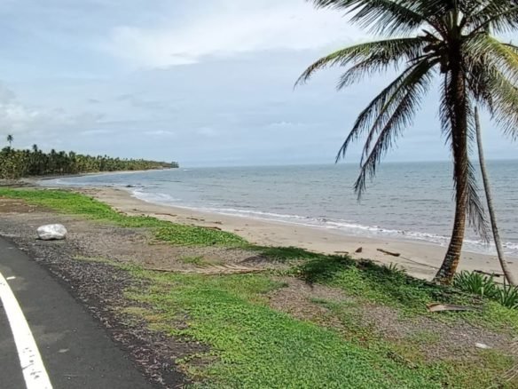 Colon – Frente a Playa: Costa Abajo, Terreno de 17 Hectáreas