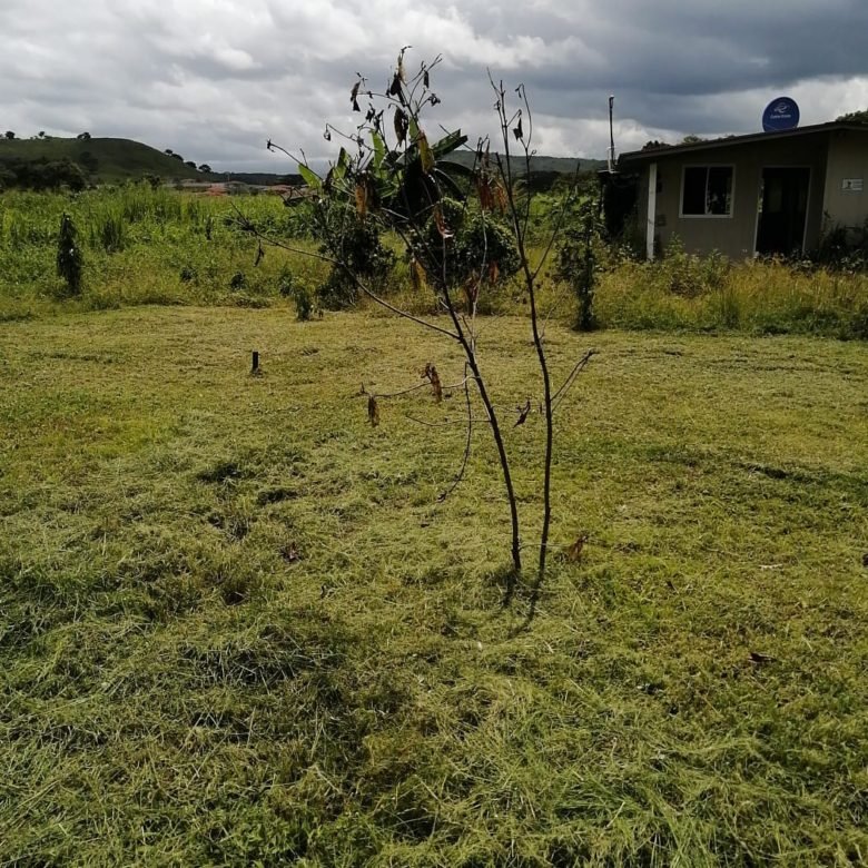 Bejuco – Chame: Cerca Via Panamericana, Terreno de 3.6 Ha, Plano