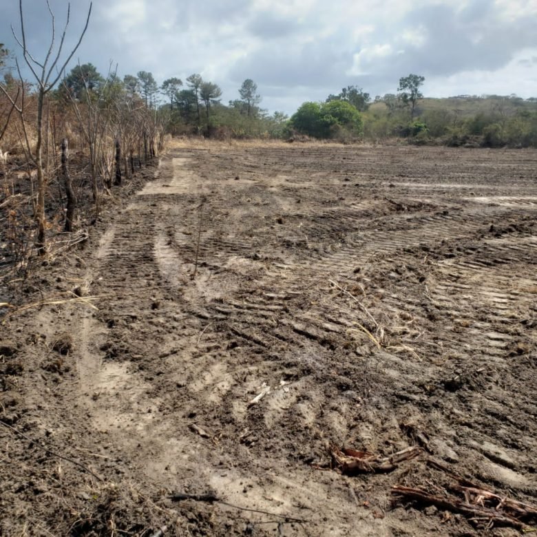 Bejuco – Chame: Cerca Via Panamericana, Terreno de 3.6 Ha, Plano