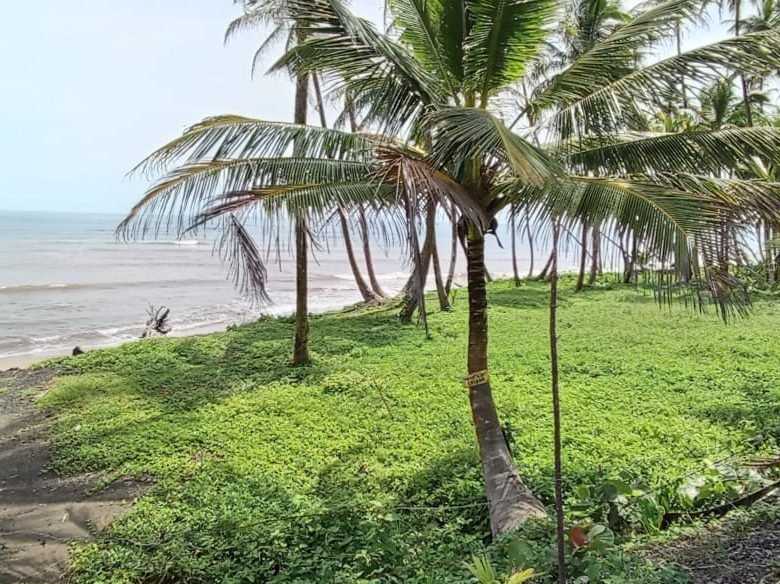 Colon – Frente a Playa: Costa Abajo, Terreno de 17 Hectáreas