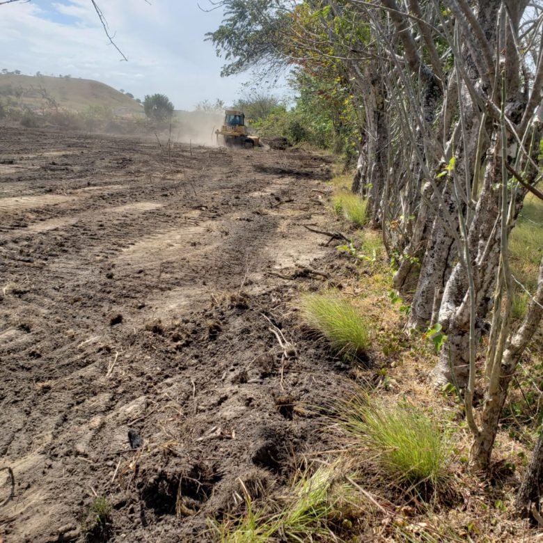 Bejuco – Chame: Cerca Via Panamericana, Terreno de 3.6 Ha, Plano