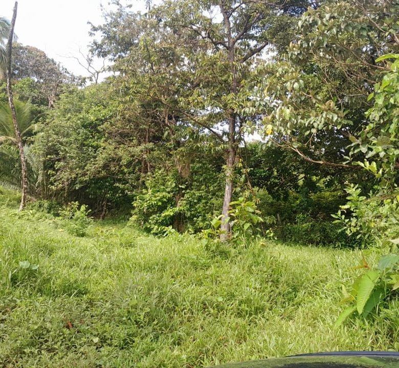 Colon – Frente a Playa: Costa Abajo, Terreno de 17 Hectáreas