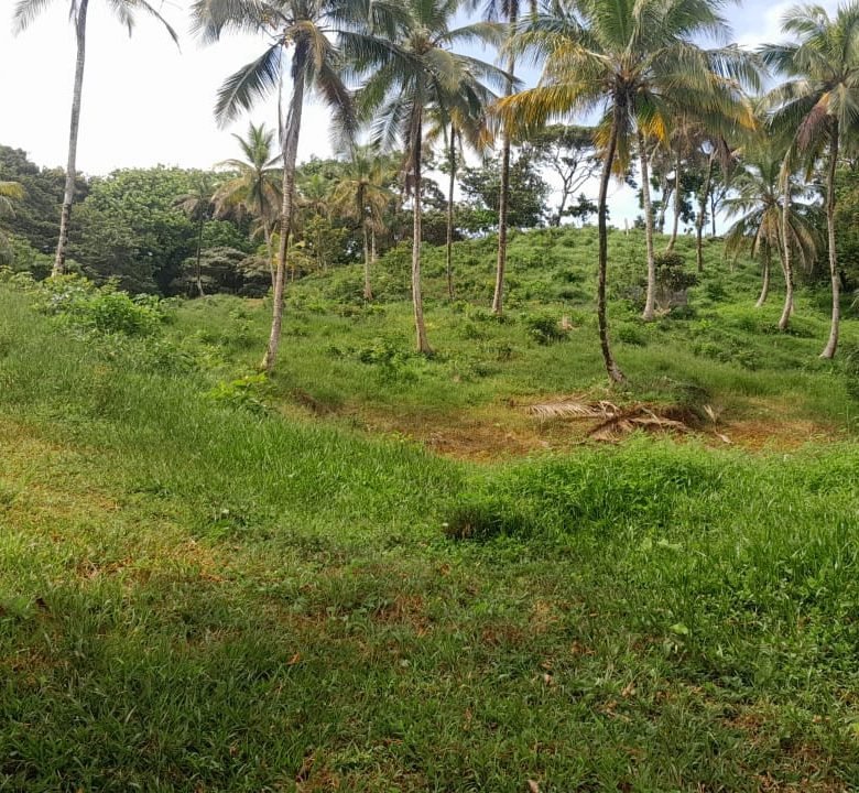 Colon – Frente a Playa: Costa Abajo, Terreno de 17 Hectáreas